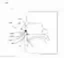 Fig. 01 - Nasal dilator devices