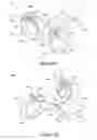 Fig. 08 - Nasal dilator devices