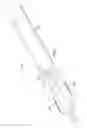Fig. 03 - Devices and methods for a cannula-delivered treatment material application device