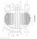 Fig. 08 - Assembled absorbent article components with graphics having aligned masked zones