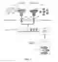 Fig. 03 - Medication dispenser system with exact personal dosing