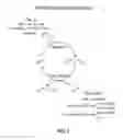 Fig. 02 - Bioactive “smart” dental composite materials