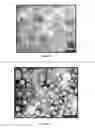 Fig. 04 - Apparatus and method for preparing cosmeceutical ingredients containing epi-dermal delivery mechanisms