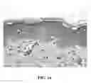 Fig. 02 - Method Of Counteracting The Impact Of Chronic Stress On Skin