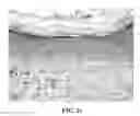 Fig. 04 - Method Of Counteracting The Impact Of Chronic Stress On Skin