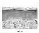 Fig. 06 - Method Of Counteracting The Impact Of Chronic Stress On Skin