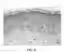 Fig. 07 - Method Of Counteracting The Impact Of Chronic Stress On Skin