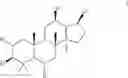 Fig. 29 - Liposomes with ginsenoside as membrane material and preparations and use thereof