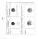 Fig. 02 - Silica nanoparticle composition for delivering bioactive material or protein such as a human proteasome