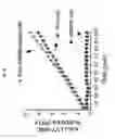 Fig. 17 - Silica nanoparticle composition for delivering bioactive material or protein such as a human proteasome