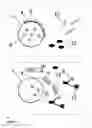 Fig. 03 - APPLICATIONS AND TOOLS BASED ON SILICA PARTICLES COATED WITH BIOLOGICAL OR SYNTHETIC MOLECULES