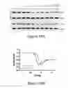 Fig. 08 - METHODS OF TREATING MELANOMA