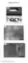 Fig. 07 - SELF-ASSEMBLING DRUG DELIVERY VEHICLES WITH IONICALLY CROSS-LINKED DRUGS