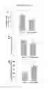 Fig. 16 - SELF-ASSEMBLING DRUG DELIVERY VEHICLES WITH IONICALLY CROSS-LINKED DRUGS