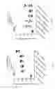 Fig. 14 - Treatment of NASH with gemcabene