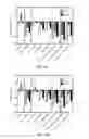 Fig. 06 - Treatment of Mixed Dyslipidemia