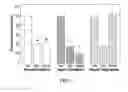 Fig. 09 - Treatment of Mixed Dyslipidemia