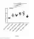 Fig. 12 - Treatment of Mixed Dyslipidemia
