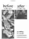 Fig. 28 - Pharmaceutical suspensions containing drug particles, devices for their administration, and methods of their use