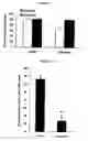 Fig. 05 - METHODS AND FORMULATIONS FOR TREATING SCARS AND BETA-CATENIN-MEDIATED DISORDERS
