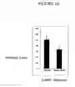 Fig. 11 - METHODS AND FORMULATIONS FOR TREATING SCARS AND BETA-CATENIN-MEDIATED DISORDERS