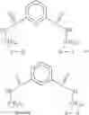 Fig. 06 - Method of supplementing the diet and ameliorating oxidative stress