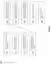 Fig. 07 - Inhalable nicotine formulations, and methods of making and using thereof