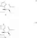 Fig. 554 - Beta-tetrazolyl-propionic acids as metallo-beta-lactamase inhibitors