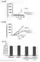 Fig. 08 - Liposomal drug encapsulation