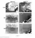 Fig. 03 - Injectable Osteogenic Formulations, and Methods of Use Thereof