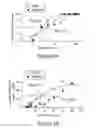 Fig. 11 - General anesthetics that are not neurotoxic