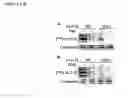 Fig. 02 - Method of Modulating Protein 14-3-3 Functionality By Facilitating or Inhibiting Phosphorylation