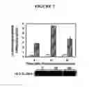 Fig. 08 - Method of Modulating Protein 14-3-3 Functionality By Facilitating or Inhibiting Phosphorylation