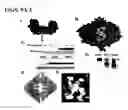 Fig. 10 - Method of Modulating Protein 14-3-3 Functionality By Facilitating or Inhibiting Phosphorylation