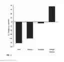 Fig. 05 - Neridronic acid for treating bone marrow lesions
