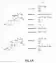 Fig. 07 - Methods and compositions for treatment of COPD diseases