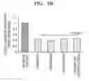 Fig. 04 - Composition for preventing or treating muscle wasting-related disease and use thereof