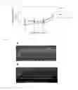 Fig. 05 - Antiviral composition containing material involved in phosphatidylcholine synthesis pathway