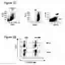 Fig. 08 - Immune-modifying nanoparticles for the treatment of inflammatory diseases