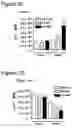 Fig. 09 - Immune-modifying nanoparticles for the treatment of inflammatory diseases