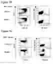 Fig. 11 - Immune-modifying nanoparticles for the treatment of inflammatory diseases