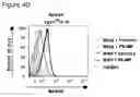 Fig. 15 - Immune-modifying nanoparticles for the treatment of inflammatory diseases