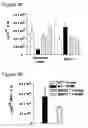 Fig. 16 - Immune-modifying nanoparticles for the treatment of inflammatory diseases