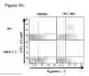 Fig. 17 - Immune-modifying nanoparticles for the treatment of inflammatory diseases