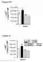 Fig. 18 - Immune-modifying nanoparticles for the treatment of inflammatory diseases