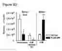 Fig. 20 - Immune-modifying nanoparticles for the treatment of inflammatory diseases