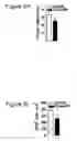 Fig. 22 - Immune-modifying nanoparticles for the treatment of inflammatory diseases