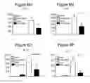 Fig. 28 - Immune-modifying nanoparticles for the treatment of inflammatory diseases