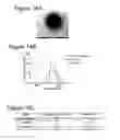 Fig. 41 - Immune-modifying nanoparticles for the treatment of inflammatory diseases