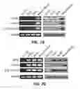 Fig. 15 - HAR-NDS-derived stem cells, method for separating same, and use thereof